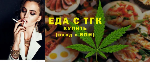 мдпв Инсар