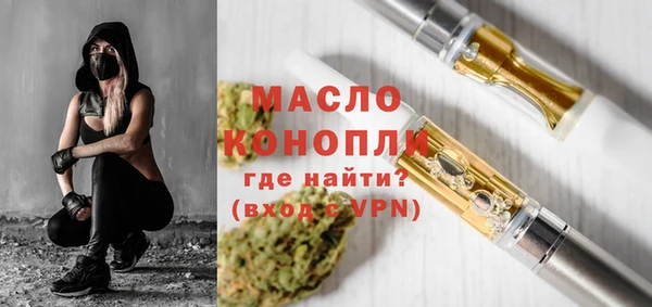 мдпв Инсар