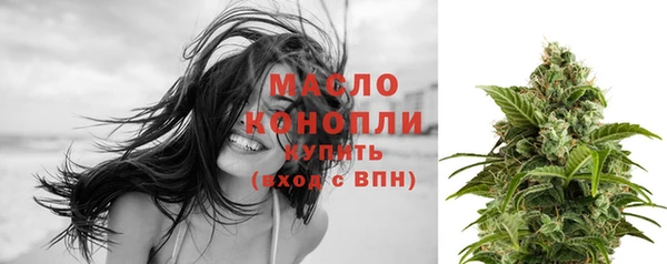 мдпв Инсар