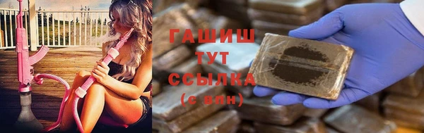 мдпв Инсар