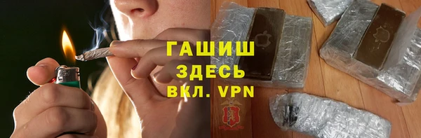 мдпв Инсар