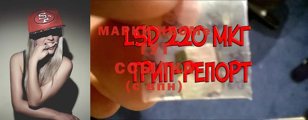 прущие крисы Инта