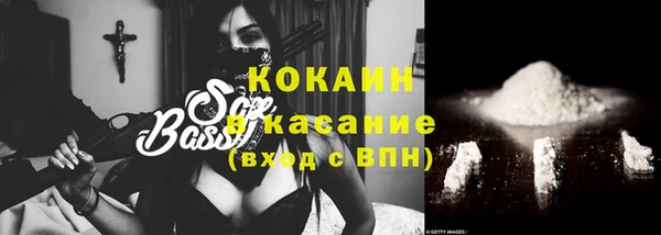 мдпв Инсар