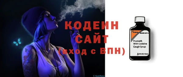 мдпв Инсар