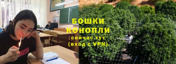прущие крисы Инта