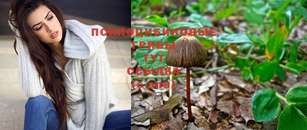 прущие крисы Инта