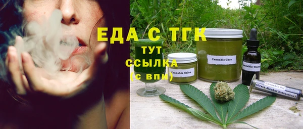 мдпв Инсар