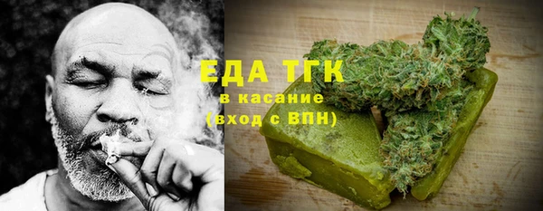 мдпв Инсар