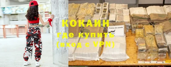 мдпв Инсар
