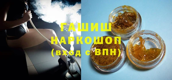 мдпв Инсар