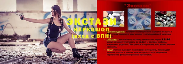 мдпв Инсар
