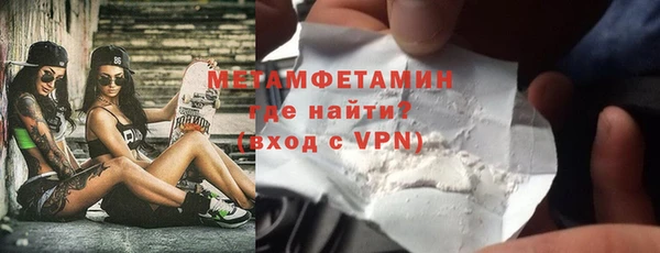 мдпв Инсар